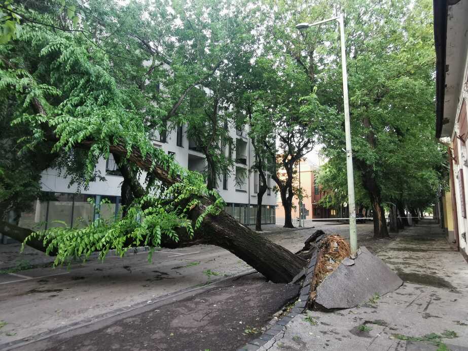 Viharkárok Cegléden