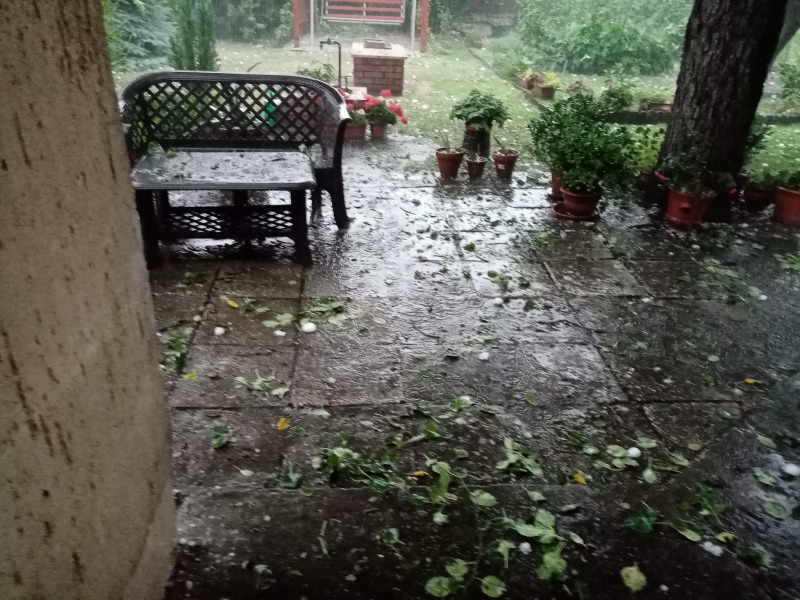 Magdolna Pető fotója