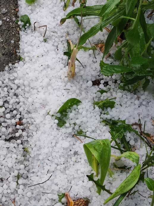 Németh Mérike fotója