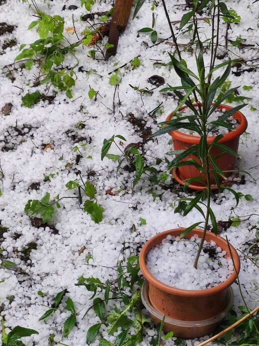 Németh Mérike fotója