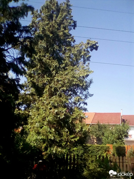 Észlelési fényképek