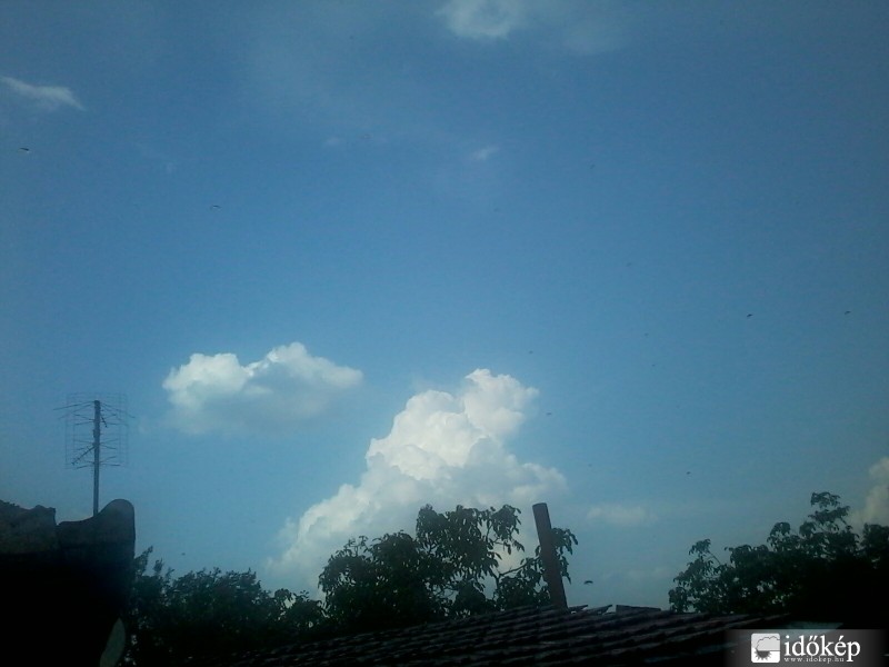 Észlelési fényképek