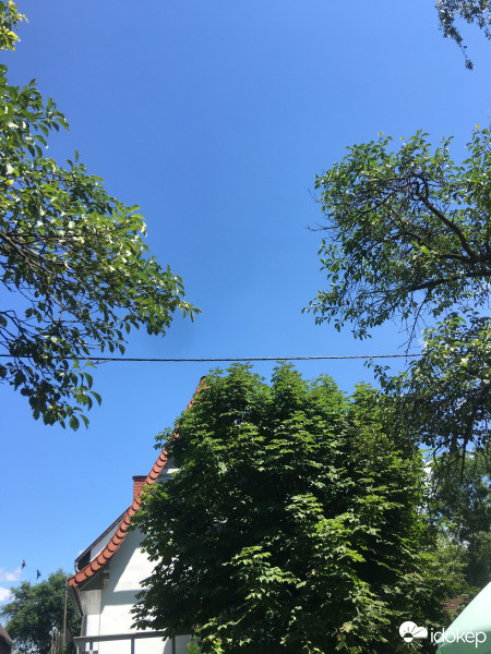 Észlelési fényképek