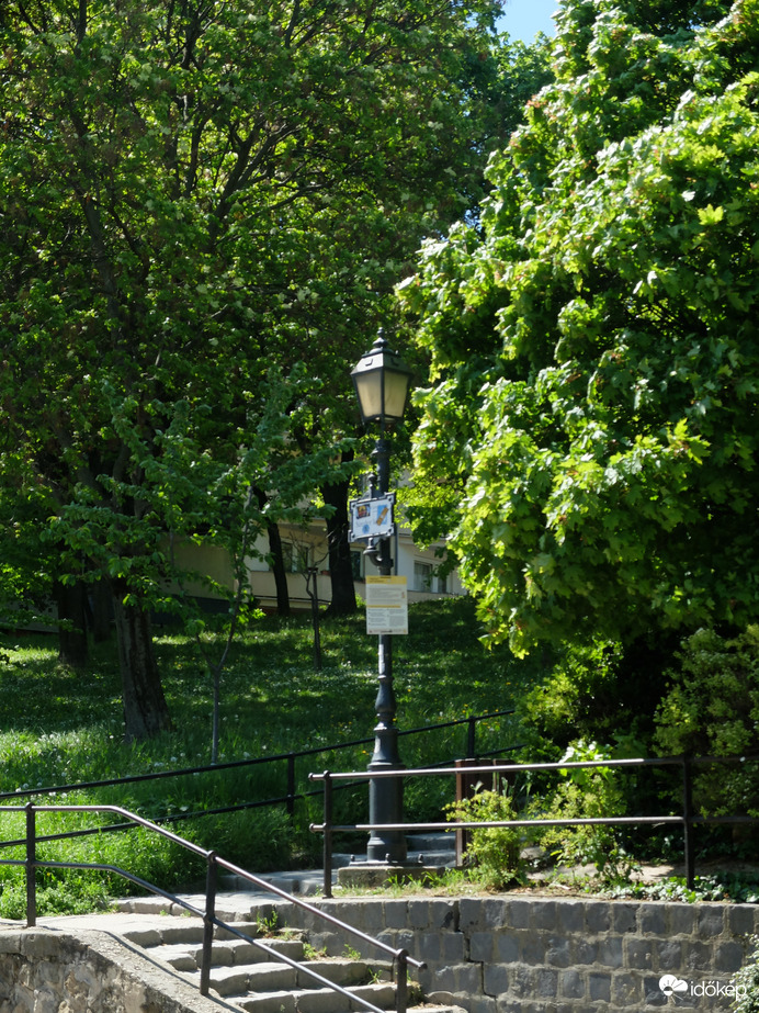 Természet