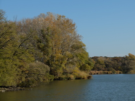 Naplás-tó november 1.