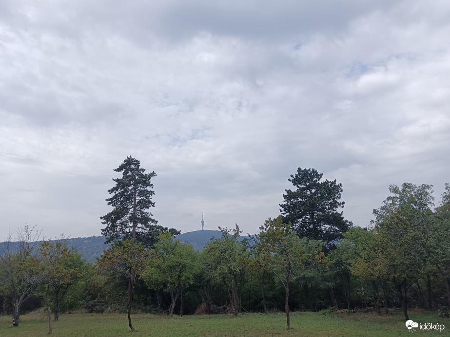 Pécs