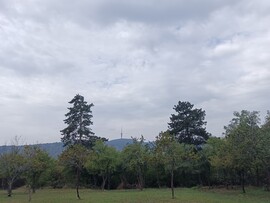 Pécs