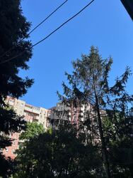 Budapest IV.ker - Káposztásmegyer