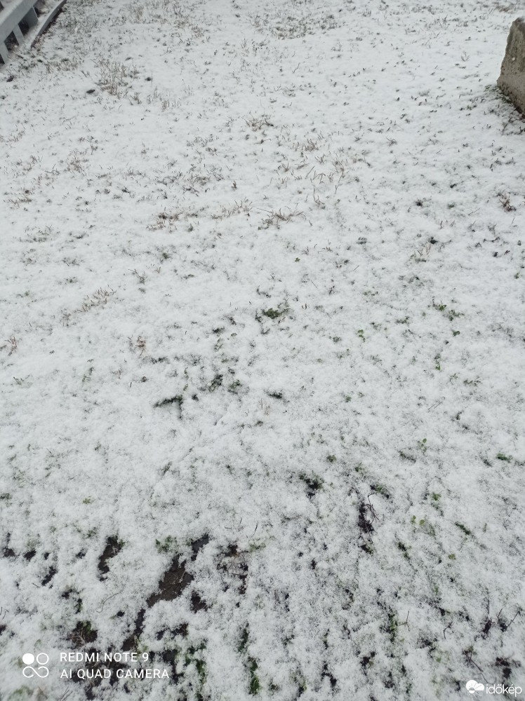 Észlelési fényképek