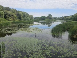 Balatonmagyaród