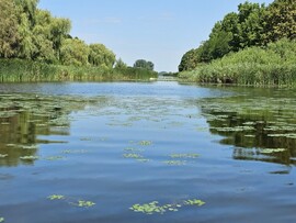 Balatonmagyaród