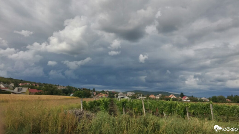 Észlelési fényképek