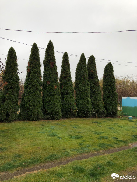 Észlelési fényképek