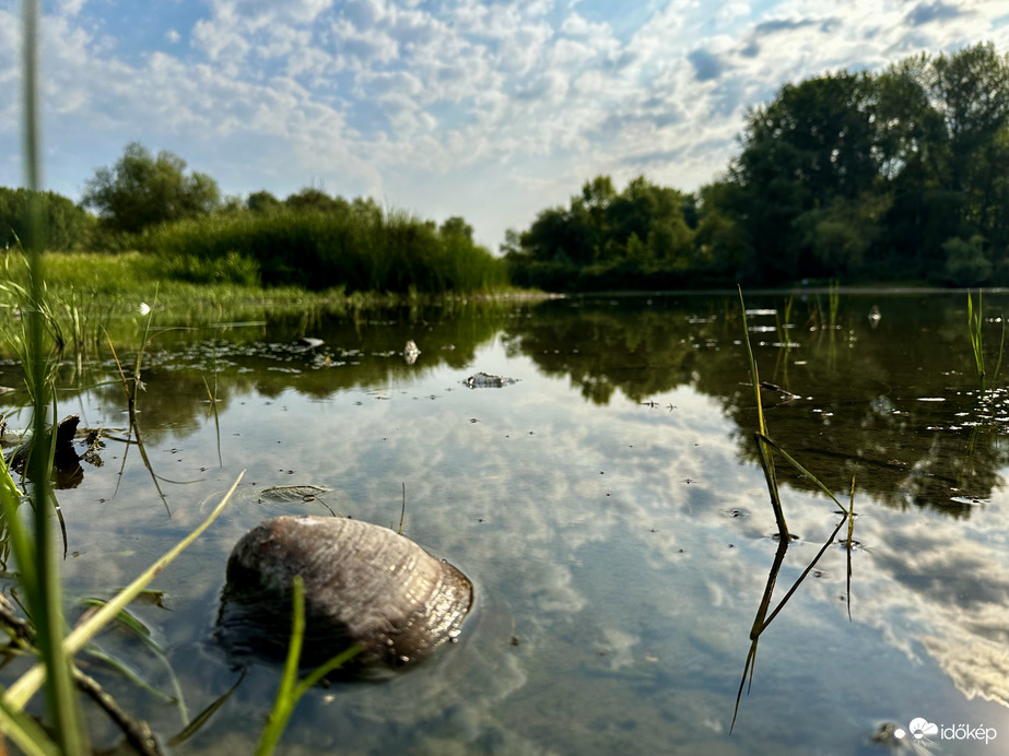 Természet