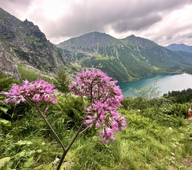 Morskie Oko