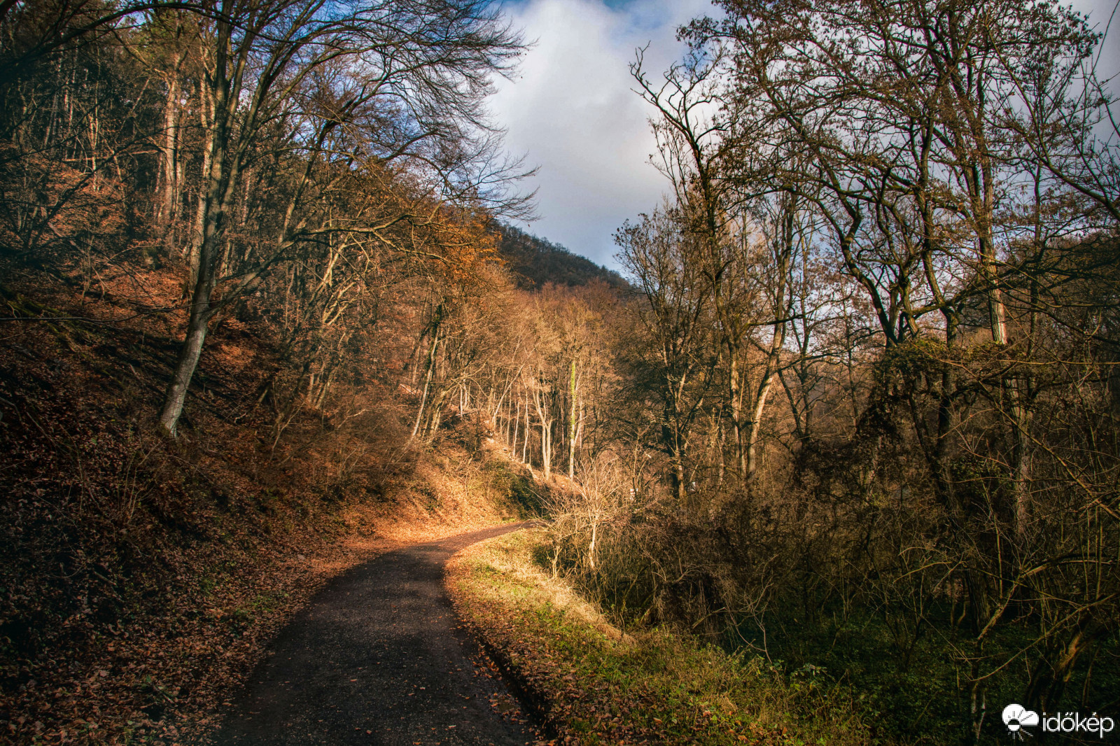 Malom-patak völgye,Visegrádi-hegység,2020.12.05.