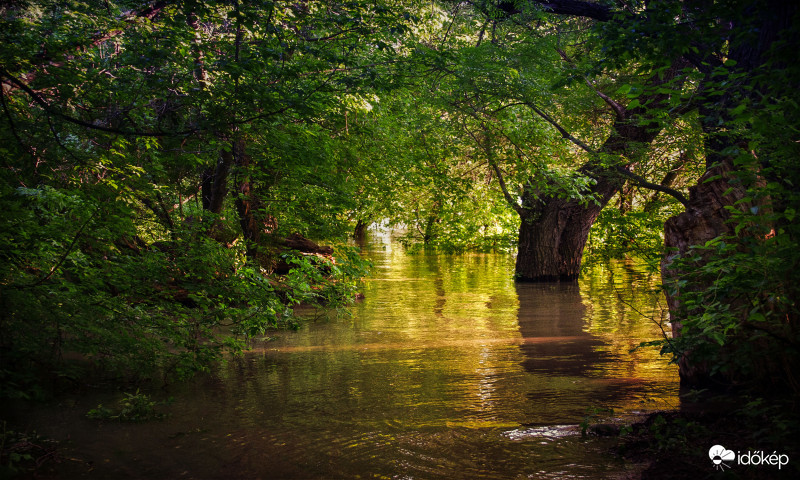 Budapest-Népsziget,2019.05.25.
