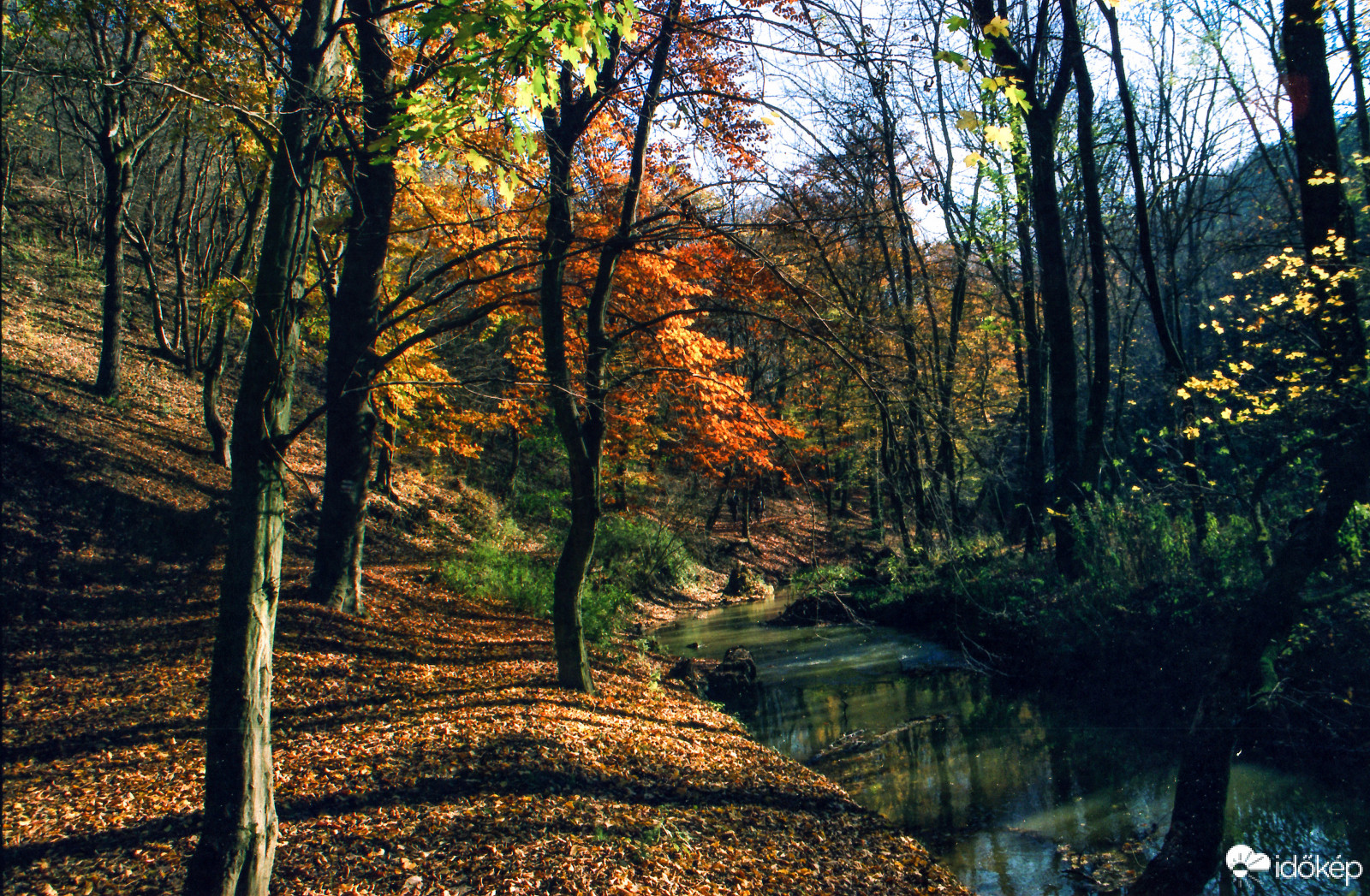 Gaja-szurdok,Canon eos 5 slr,Kodak Portra 400 negatív