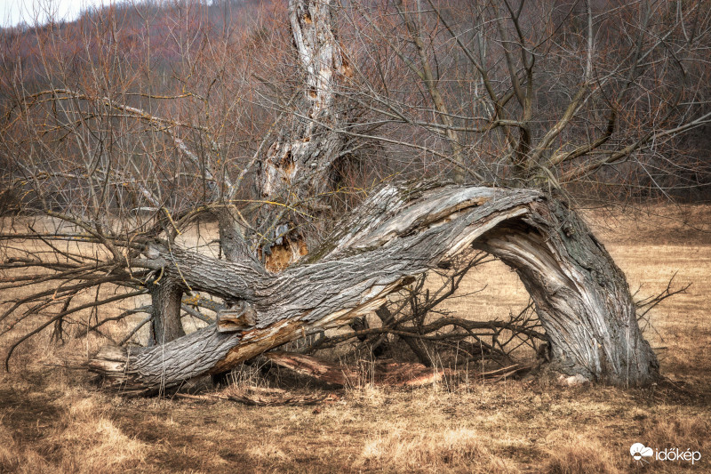 Aszód,Hosszúvölgy