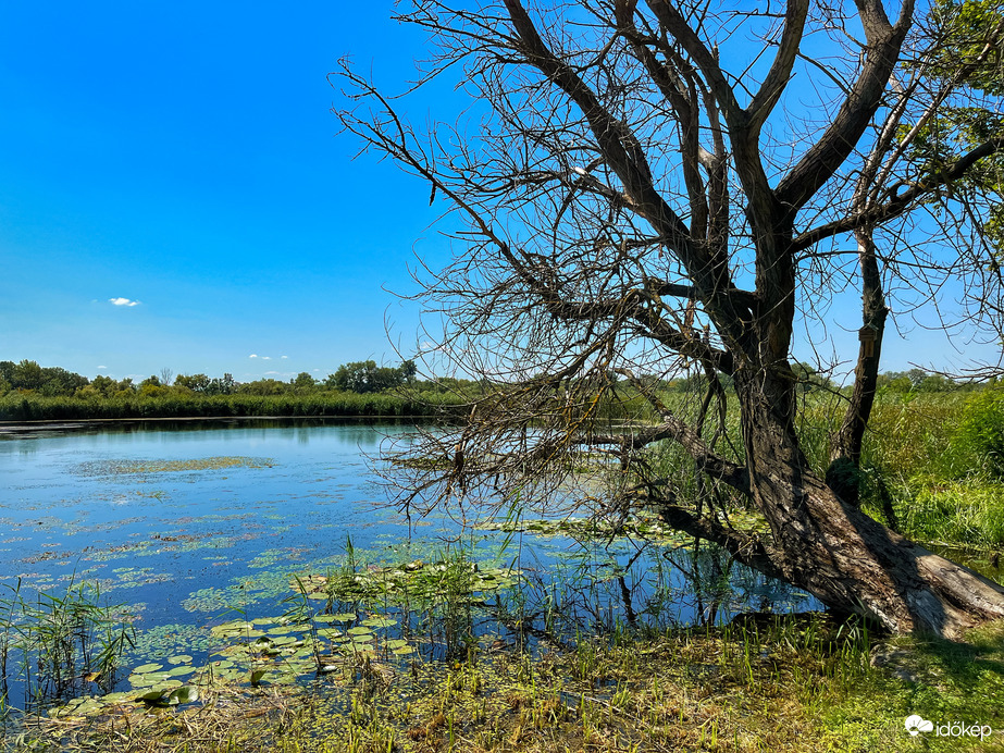 Tisza-tó,Poroszló