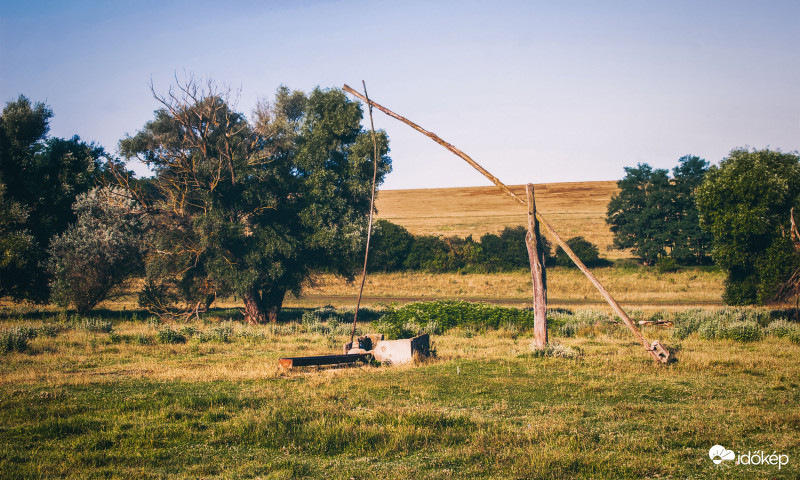 Hosszú-völgy,Aszód,2020.07.21.