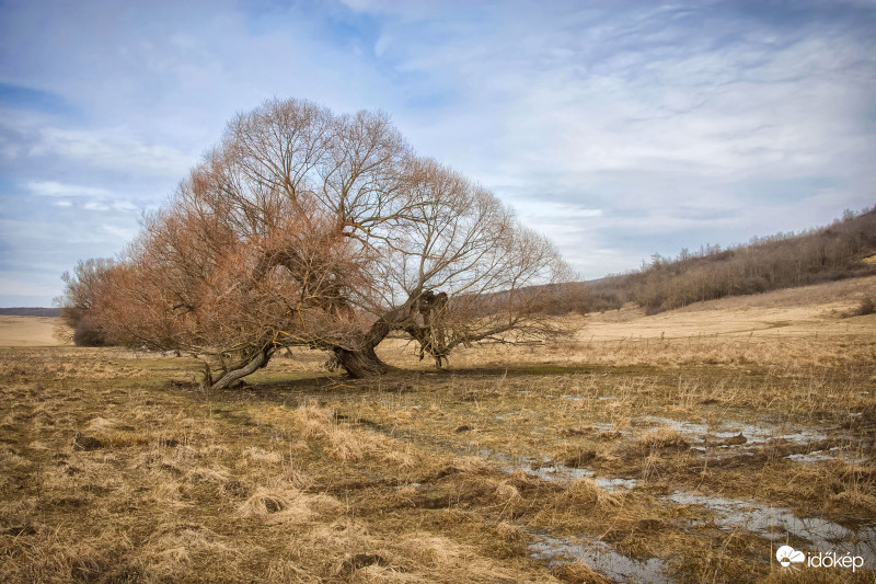 Aszód,Hosszúvölgy