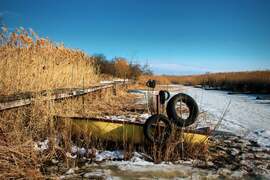 Szúnyog-sziget,Pákozd,2026.01.17.