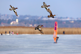 Az ember és a természet találkozása