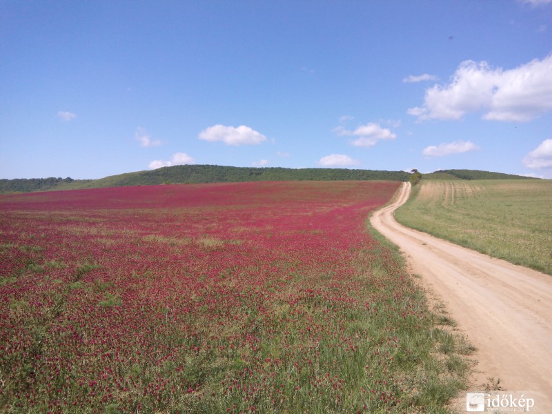 Budapest X.ker - Téglagyárdűlő