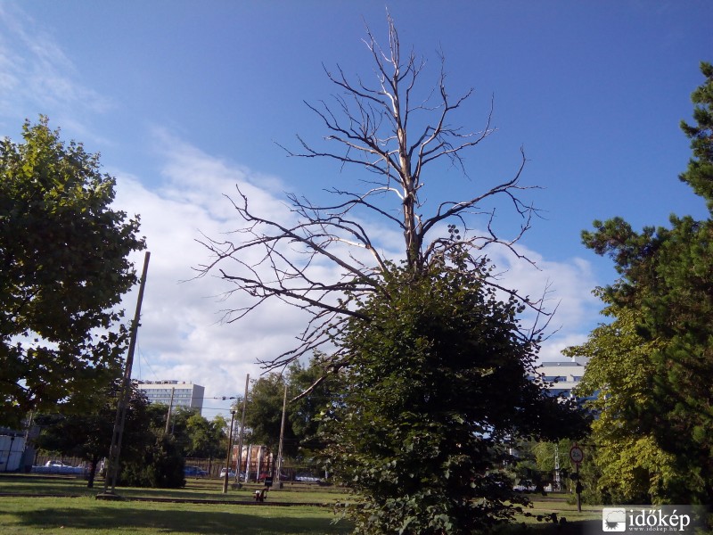 Budapest X.ker - Kőbánya