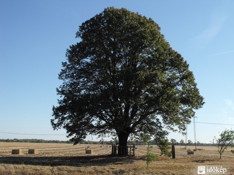 A természet alkotása