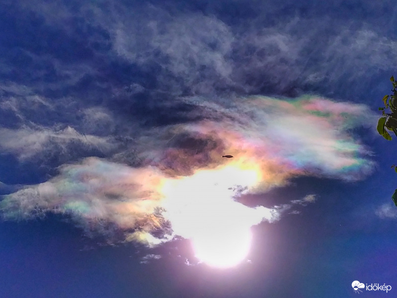 Hal alak az irizáló felhőben