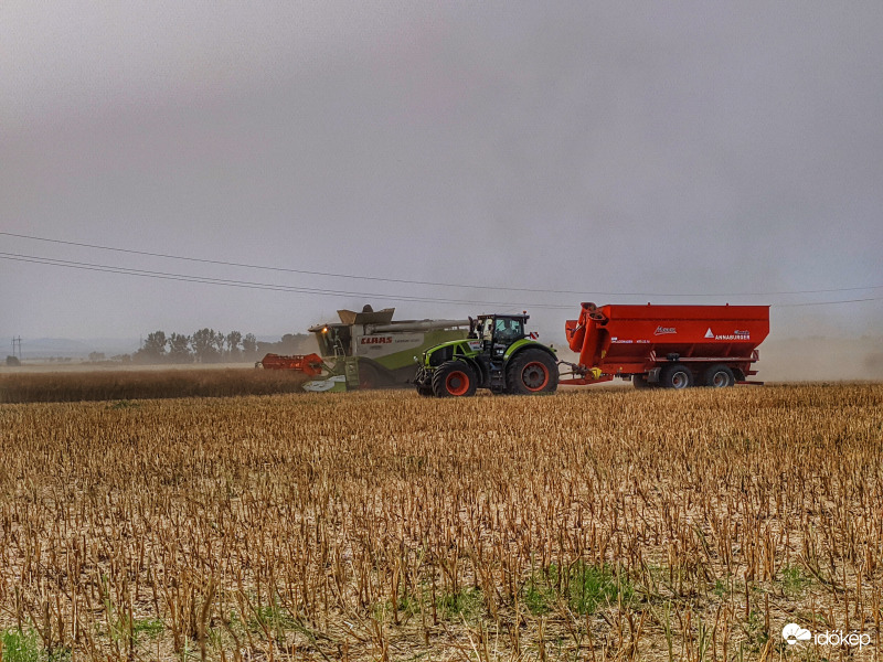 Keményen folyik a munka a földeken