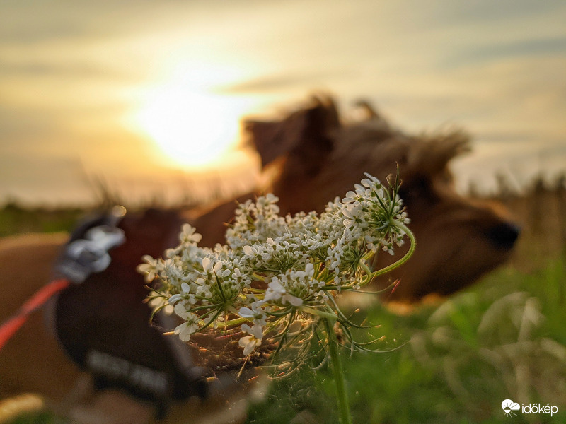Többszereplős kép