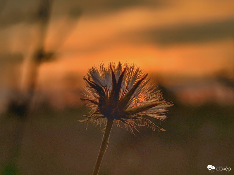 Homályból kiszakadó