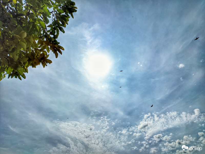 Fecskék a nap körül