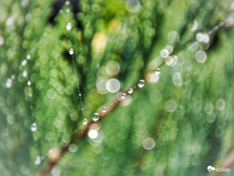 Díszített pókháló