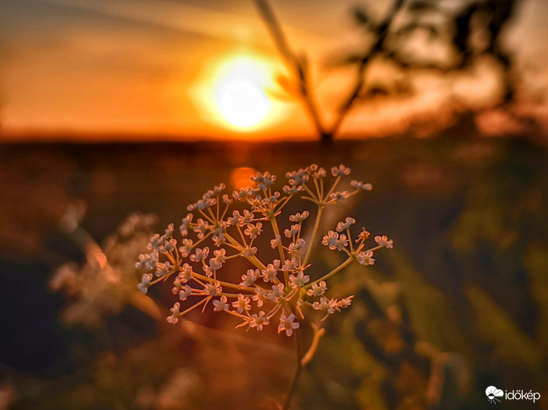 Meleg színű alkony