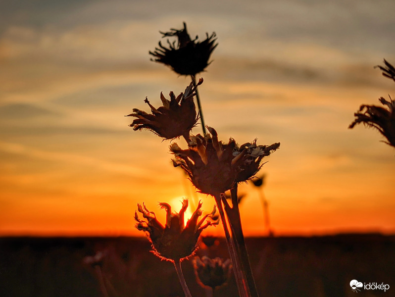 Tündöklő alkonyban