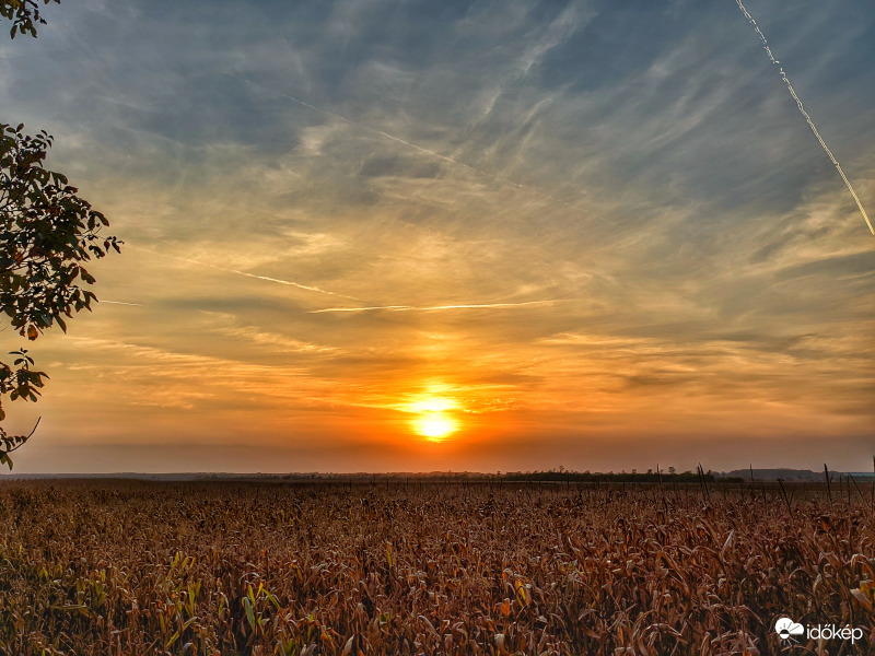 Poros, kukoricás alkony
