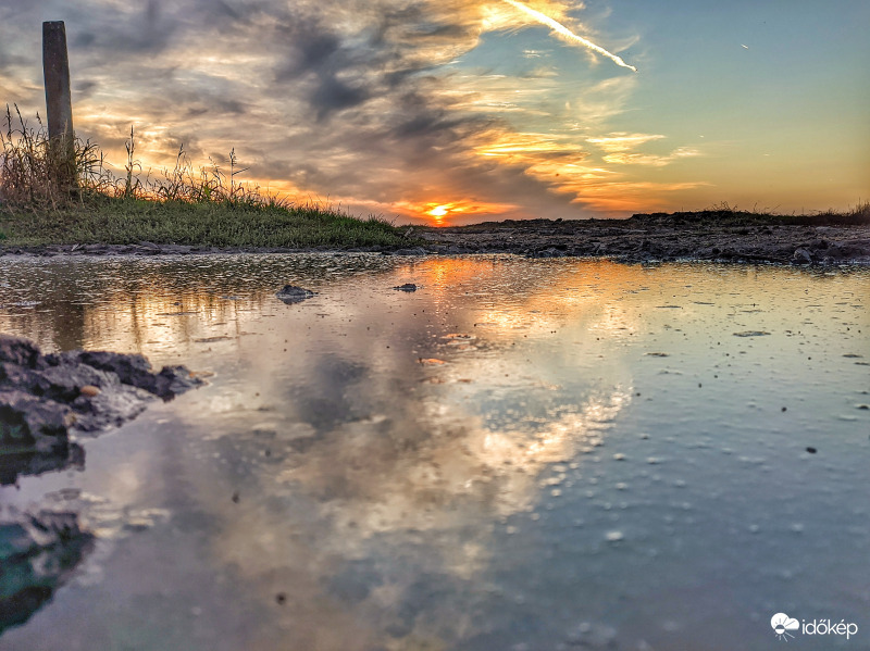 Őszi dagonya tükrében