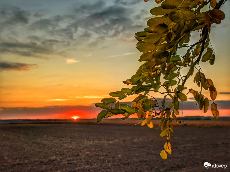 Pillanatokkal lenyugvás előtt