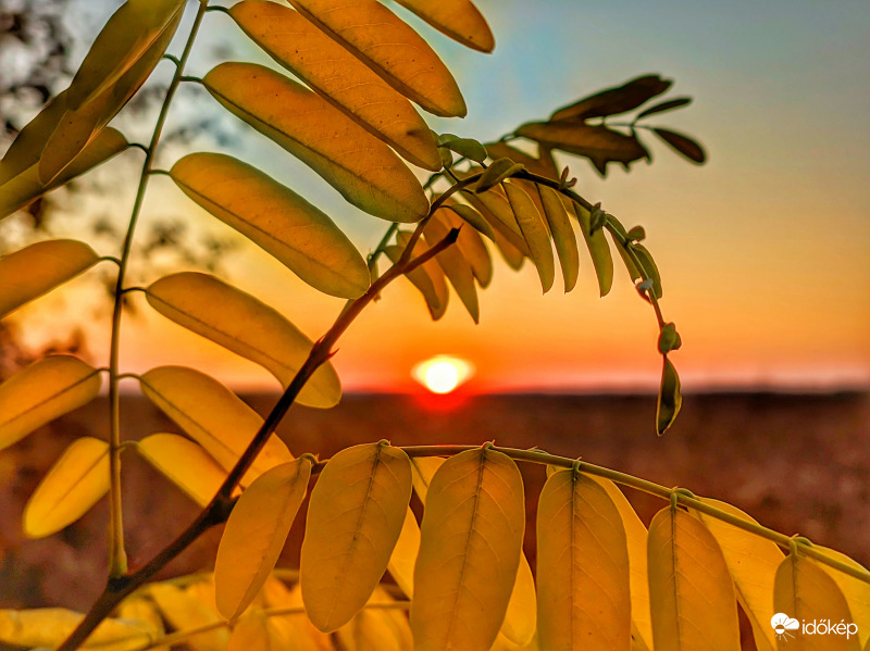 Október utolsó alkonya