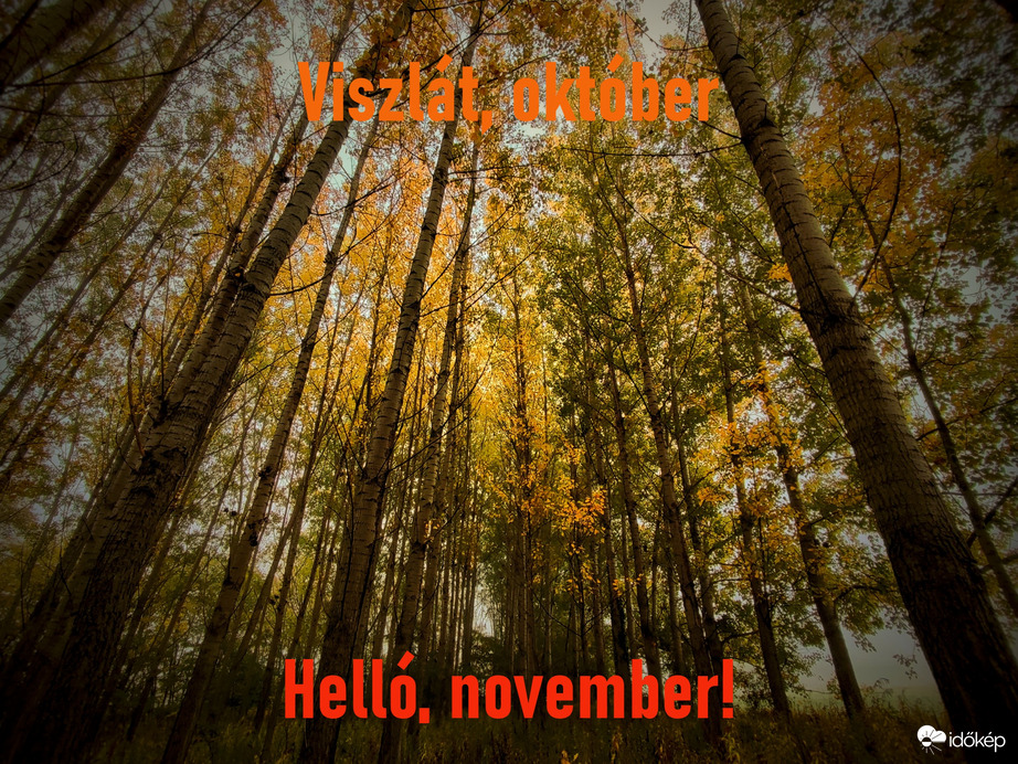 Búcsú októbertől