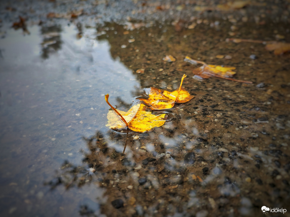 Ha nincs köd, akkor esik az eső