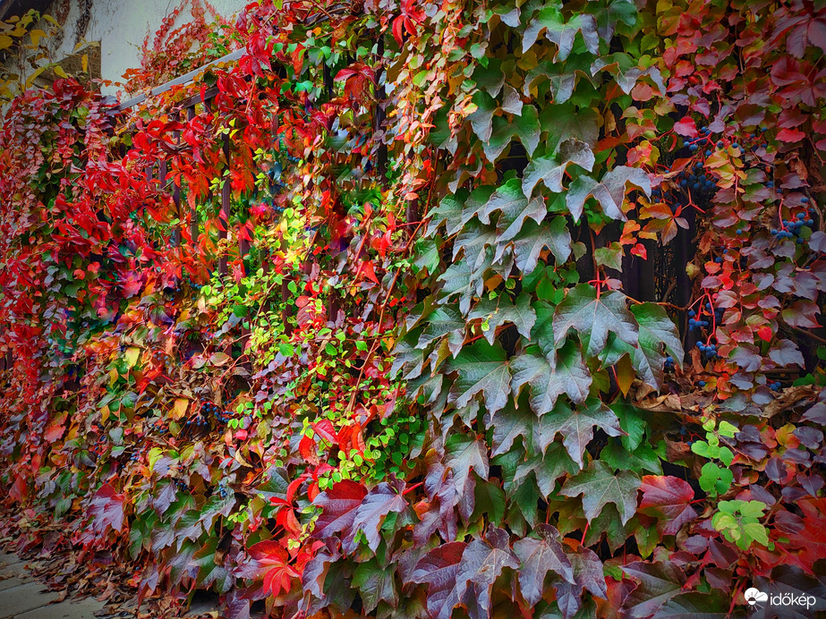 Színvarázs borús időben