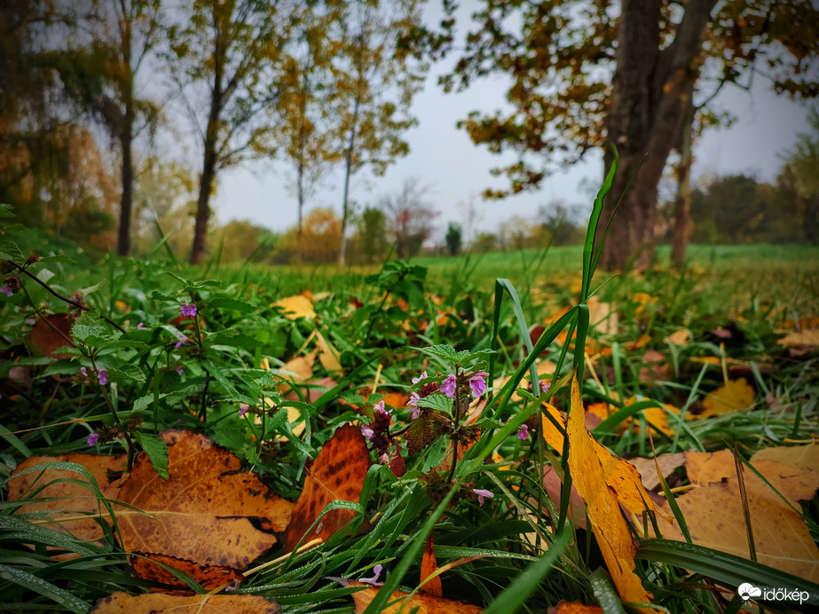 Érkezik az öntözés