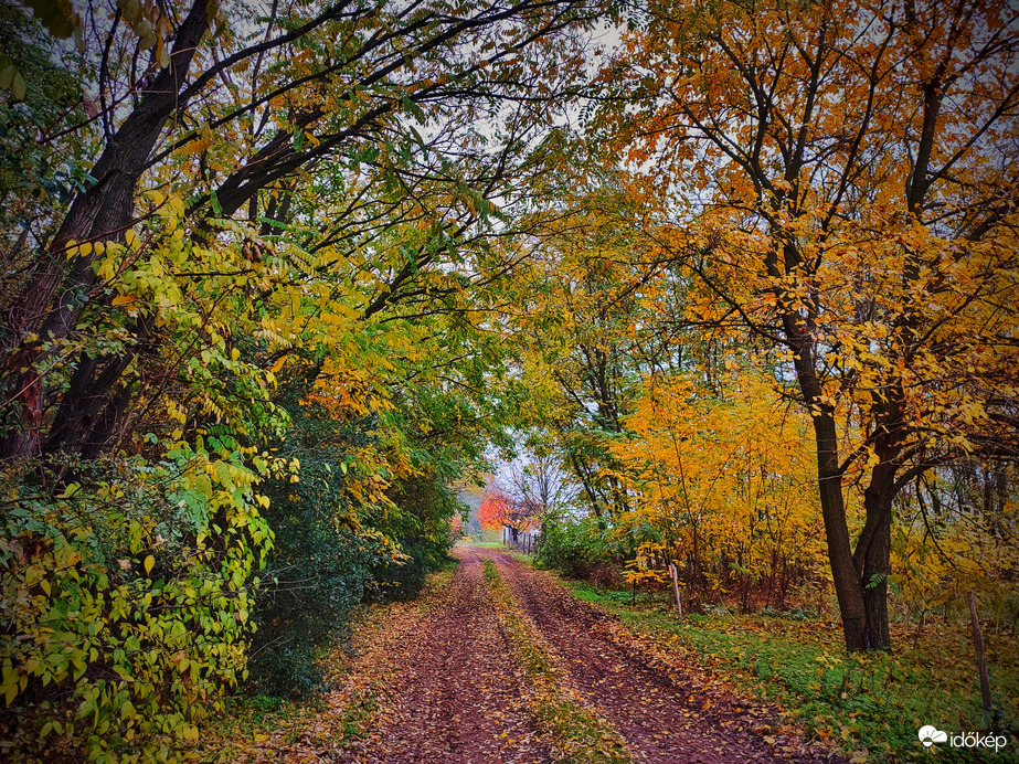 November kezdeti ősz