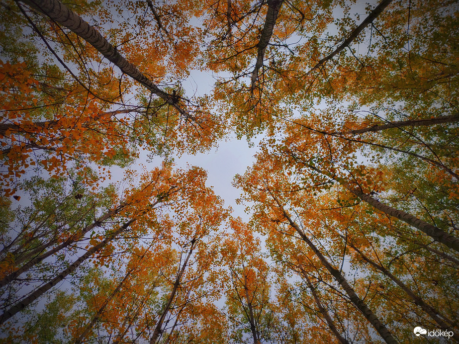 Szürkeséggel dacoló látvány