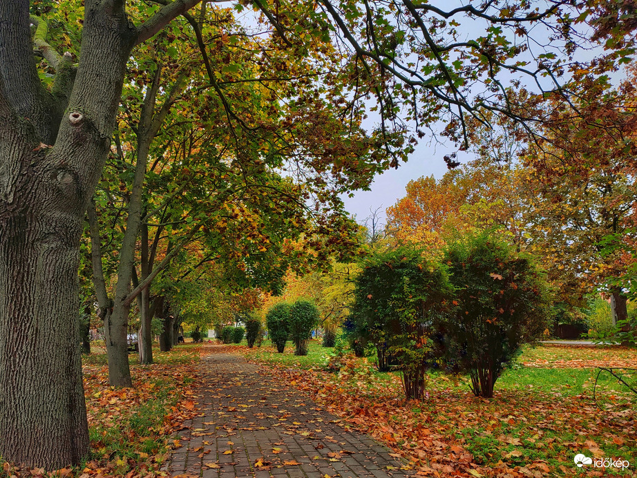 Őszi séta